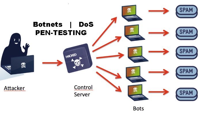 DoS | Botnet Specific Defensive Strategies