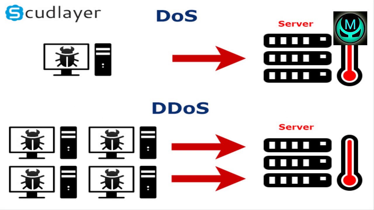 Identifying Denial-of-Service and Distributed Denial-of-Service Attacks