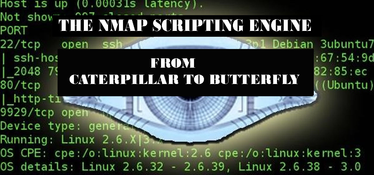 THE NMAP SCRIPTING ENGINE: FROM CATERPILLAR TO BUTTERFLY