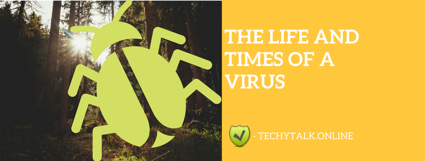 The Life and Times of a Virus