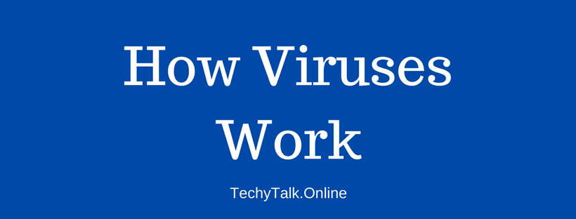 How Viruses Work
