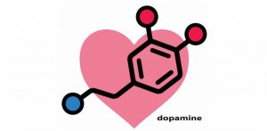 Know How To Use Dopamine
