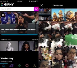 GIPHY From Apple Smartphone