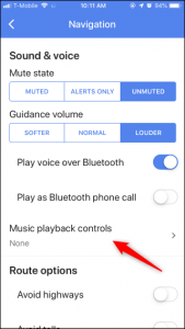 Music Playback Controls iPhone