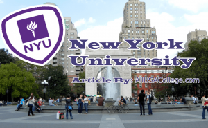 New York University