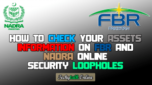 How to Check Your Assets Information on FBR and NADRA Online [Security Loopholes]