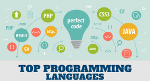 Five Programming Languages For Software Development [2020]