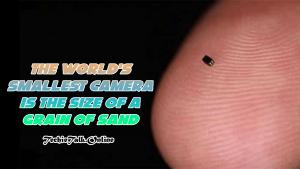 The world's smallest camera is the size of a grain of sand-min