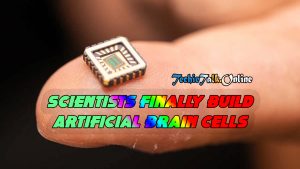 Scientists Finally Build Artificial Brain Cells