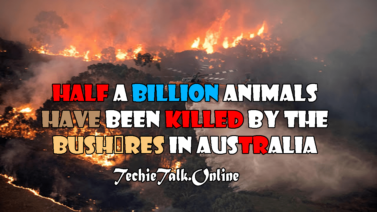 Half a Billion Animals have been Killed by the Bushfires in Australia