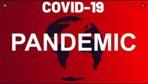 As Expected USA Covid-19 Death Count Is Bogus!