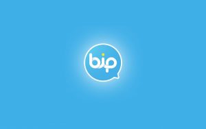 Remarks about "BIP" Application from a Security & Privacy Standpoint