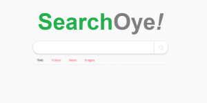 Search Oye: Pakistan's First Search Engine