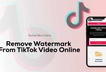 Remove Watermark from TikTok Video Online